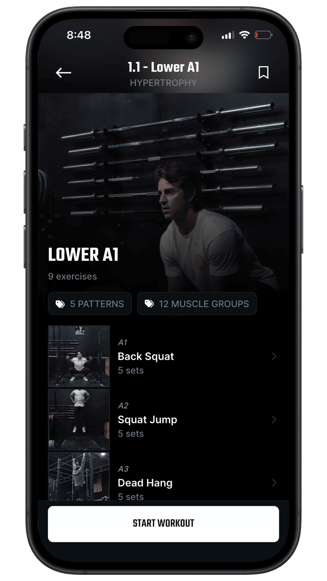 Guided Workouts