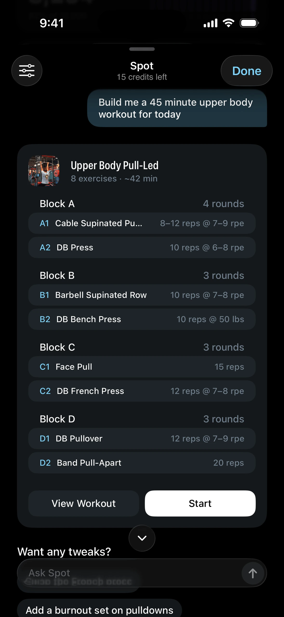 Spot builds a 45-minute upper body workout in chat: four blocks, ready to start
